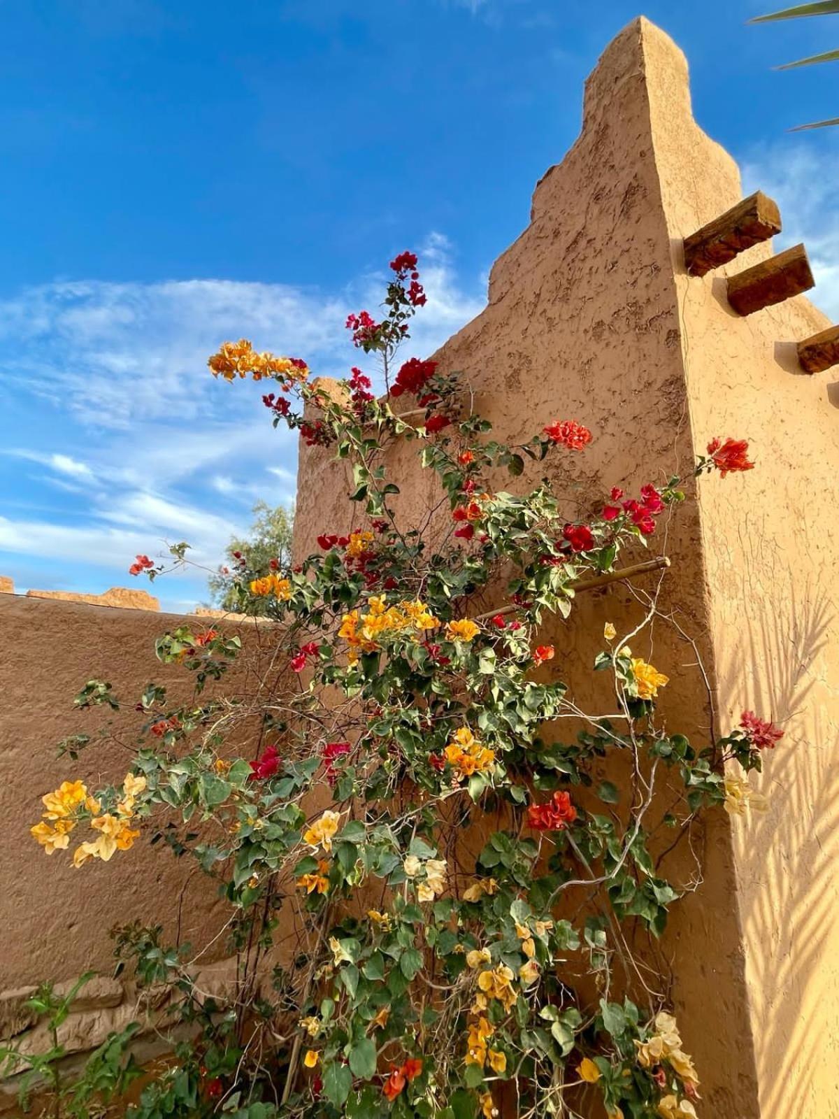 Auberge Kasbah Dar Sahara Tours M'Hamid Exterior foto